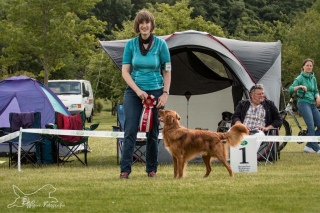 0b0933d5f65e1fe995940f05f24cf036