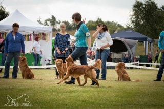 7168de22c1237e209e76068b1caf21f5