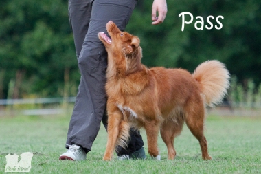 Pass