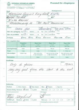 Viltspar Norell Bericht