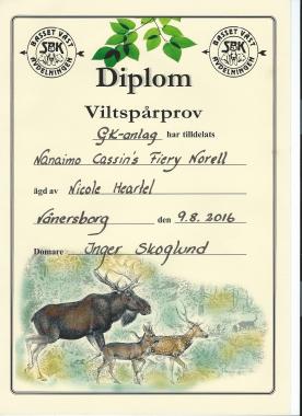 Viltspar Norell Urkunde