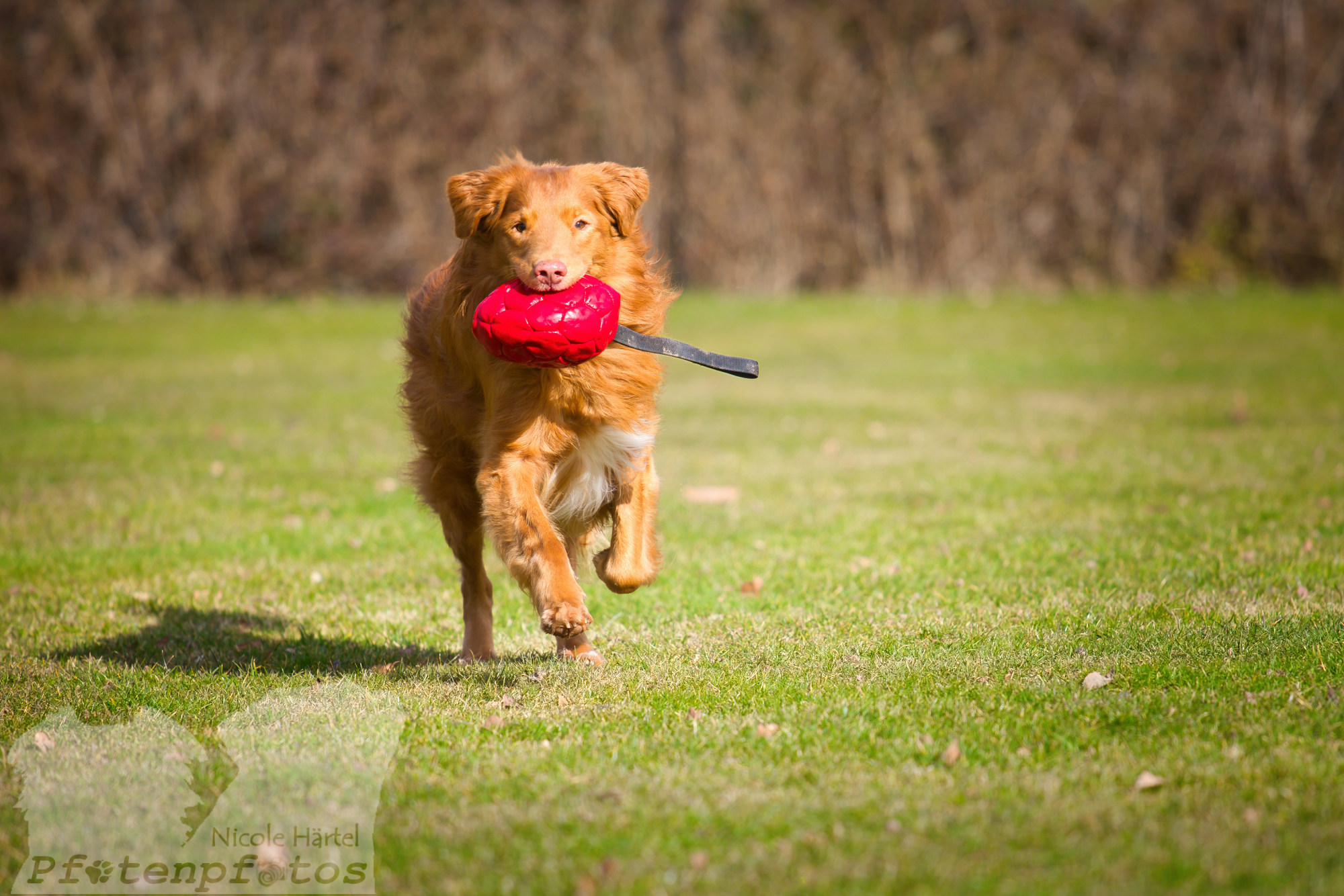 135A6461