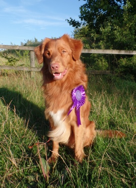 SAMSUNG CAMERA PICTURES