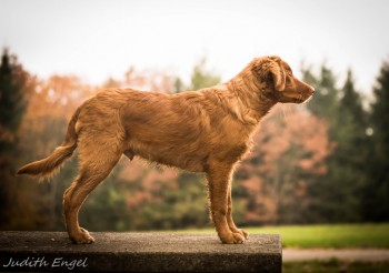 cache_2478434776