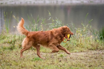 13802029-CE7526888BC979E63E76k