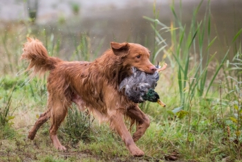 13802087-DE8CB767E93979E636C6k