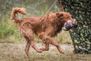 13802094-AA33616C115979E6415Ck