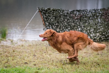 13802140-C55D9550732979E63386