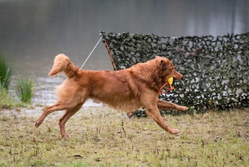 13802148-D868F2563ED979E632AF