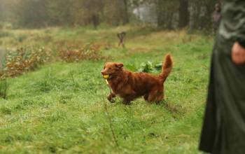 22792295_1429058417211142_585682692685412662_o