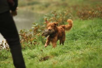 22861801_1429058540544463_7186500507885731058_o