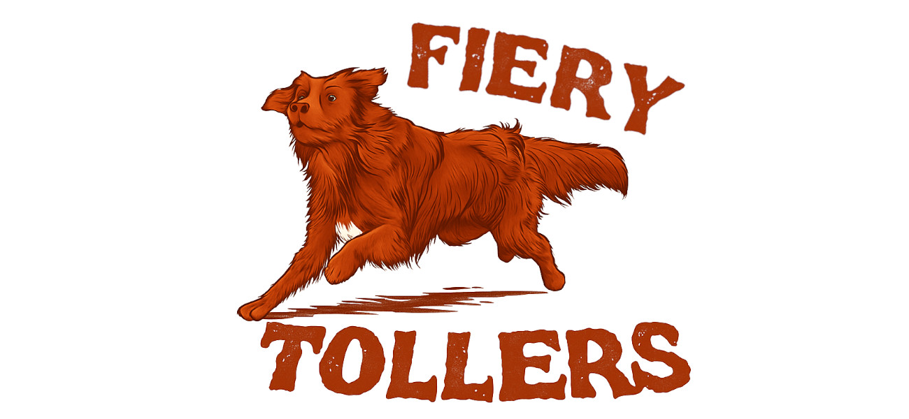 Fiery Tollers