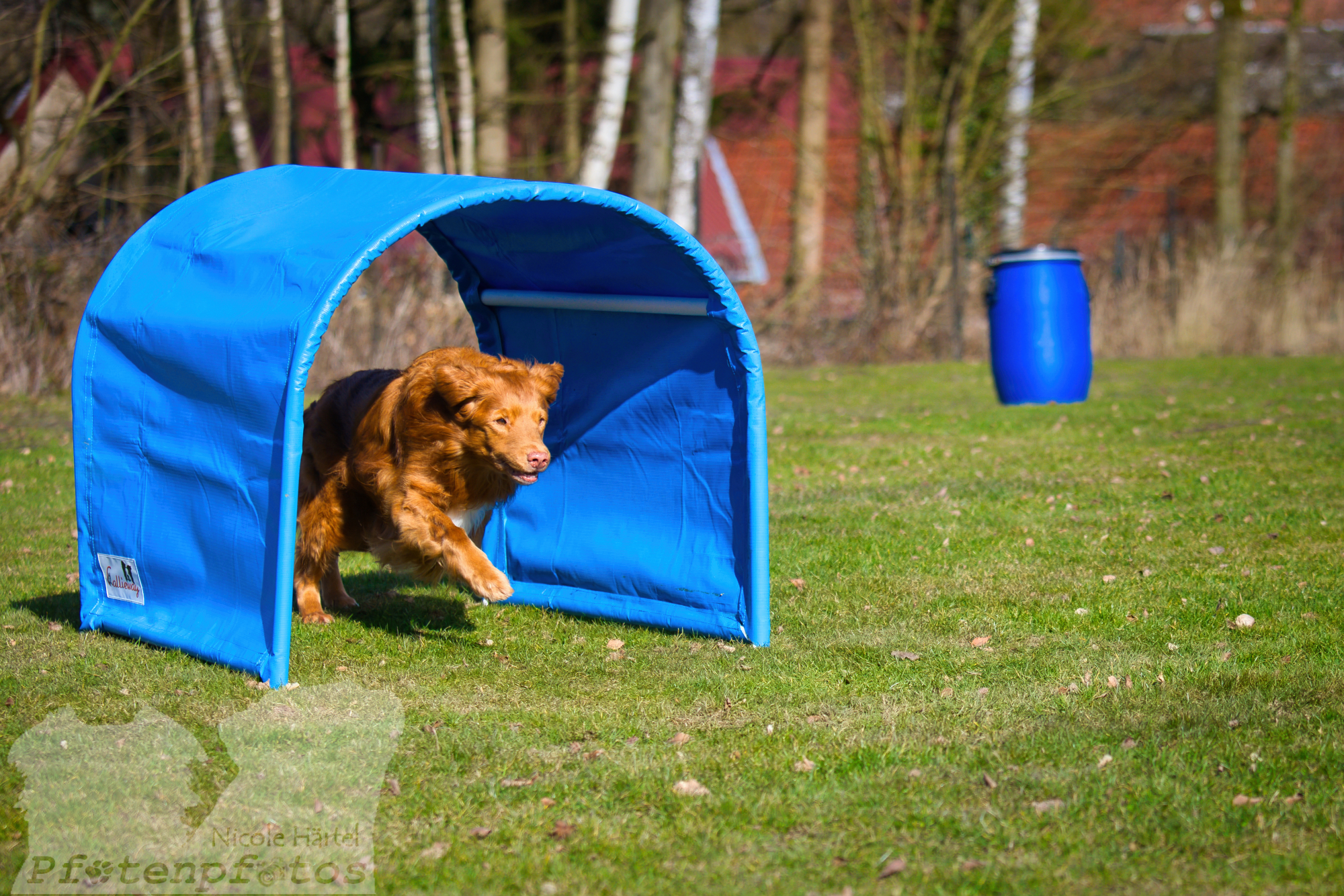 Hoopers im Frühjahr